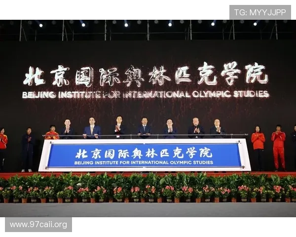 全面解析奥林匹克国际组织的结构与运作机制